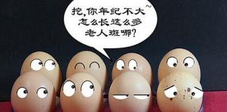 儿童安全座椅广告《鸡蛋启示录》